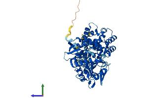 Protein Structure (PS) image for Cytochrome P450, Family 7, Subfamily B, Polypeptide 1 (CYP7B1) (AA 1-507) protein (His tag) (ABIN7557645)