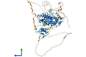 Protein Structure (PS) image for Ras and Rab Interactor 1 (RIN1) (AA 1-763) protein (His tag) (ABIN7564851)