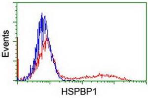 Flow Cytometry (FACS) image for anti-HSPA Binding Protein, Cytoplasmic Cochaperone 1 (HSPBP1) antibody (ABIN1498760) (HSPBP1 Antikörper)