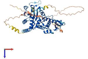 CDC14B Protein (AA 1-498) (His tag)