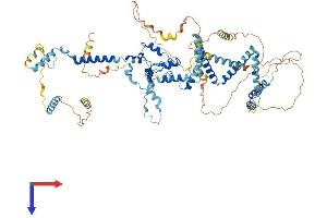 UTP14A Protein (AA 1-771) (His tag)