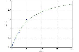 Peroxiredoxin 3 (PRDX3) ELISA Kit