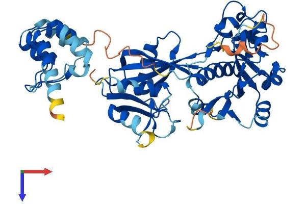 NUDT12 Protein (AA 1-462) (His tag)