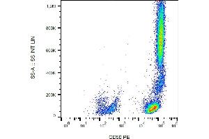 Flow cytometry analysis (surface staining) of human peripheral blood with anti-CD50 (MEM-171) PE. (ICAM-3/CD50 Antikörper  (PE))