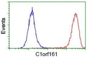 Flow cytometric Analysis of Hela cells, using anti-C1orf161 antibody (ABIN2454453), (Red), compared to a nonspecific negative control antibody, (Blue). (MAB21L3 Antikörper)