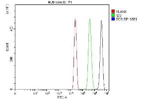 anti-Breakpoint Cluster Region (BCR) (AA 1-100) antibody