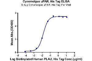 ELISA image for Plasminogen Activator, Urokinase Receptor (PLAUR) (AA 23-305) protein (His tag) (ABIN7275402)
