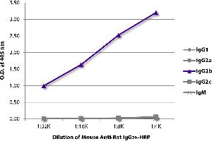 ELISA plate was coated with purified rat IgG1, IgG2a, IgG2b, IgG2c, and IgM. (Maus anti-Ratte IgG2b Antikörper (HRP))