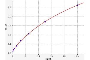 Defensin, alpha 1 (DEFA1) ELISA Kit