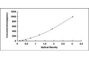 Typical standard curve (IL-20 ELISA Kit)