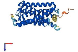RGR Protein (AA 1-291) (His tag)