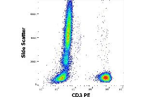 Flow cytometry surface staining pattern of human peripheral whole blood stained using anti-human CD3 (OKT3) PE antibody (10 μL reagent / 100 μL of peripheral whole blood). (CD3 Antikörper  (PE))