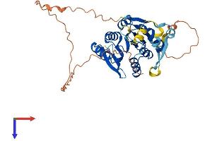 METTL18 Protein (AA 1-362) (His tag)