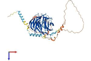 PLRG1 Protein (AA 1-513) (His tag)