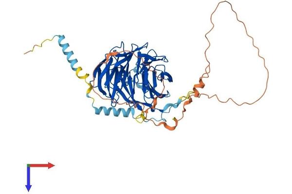 PLRG1 Protein (AA 1-513) (His tag)