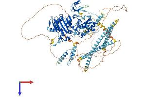 MORC3 Protein (AA 1-942) (His tag)