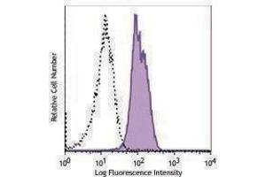 anti-XBP-1s antibody (Alexa Fluor 647)