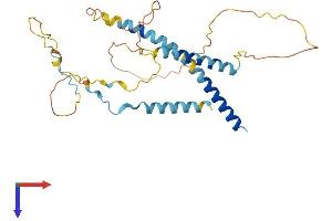 MFF Protein (AA 1-291) (His tag)
