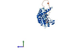 Protein Structure (PS) image for Heparan Sulfate (Glucosamine) 3-O-Sulfotransferase 5 (HS3ST5) (AA 1-346) protein (His tag) (ABIN7554113)