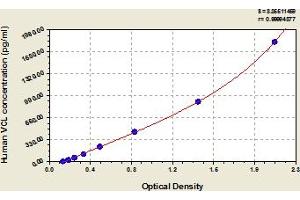 Vinculin ELISA Kit