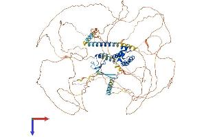 PHC3 Protein (AA 1-983) (His tag)