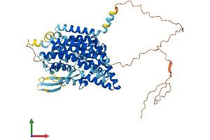 Protein Structure (PS) image for Solute Carrier Family 1 Member 5 (SLC1A5) (AA 1-553) protein (His tag) (ABIN7563405)