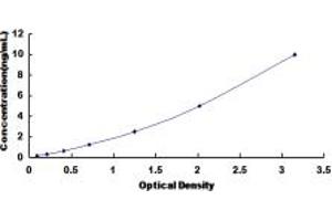 HS2ST1 ELISA Kit