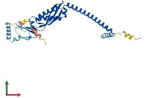 AlphaFold protein structure predicition of Mouse Recombinant Stom Protein, UniprotID P54116 (Stomatin Protein (STOM) (AA 1-284) (His tag))