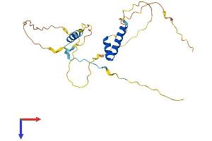 FRAT2 Protein (AA 1-231) (His tag)