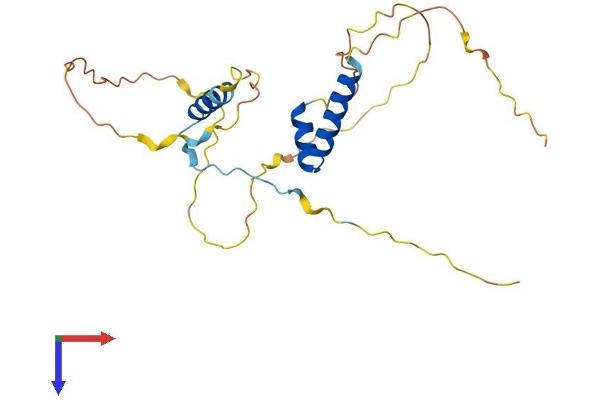 FRAT2 Protein (AA 1-231) (His tag)