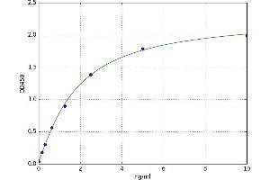 A typical standard curve (PARK7/DJ1 ELISA Kit)