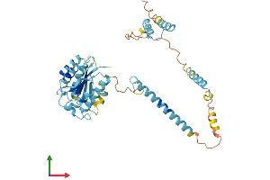 AlphaFold protein structure predicition of Human Recombinant PSMD4 Protein, UniprotID P55036
