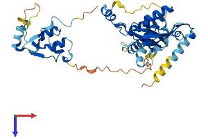 SMARCB1 Protein (AA 1-385) (His tag)