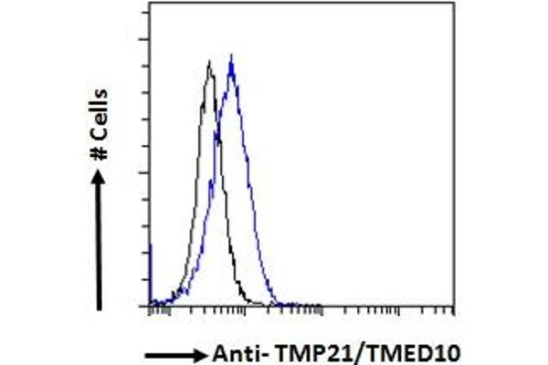 TMED10 Antikörper  (C-Term)