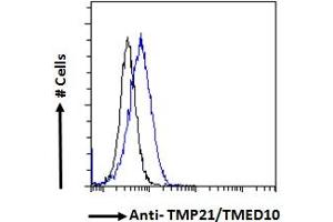 ABIN190858 Flow cytometric analysis of paraformaldehyde fixed HeLa cells (blue line), permeabilized with 0.
