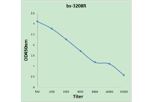 Antigen: 0. (JAK3 Antikörper  (pTyr980, pTyr981))