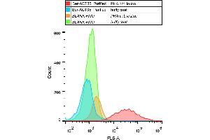 Flow cytometry analysis (surface staining) of human PHA-activated leukocytes with anti-human CD134 (Ber-ACT35) purified, GAM APC. (TNFRSF4 Antikörper)