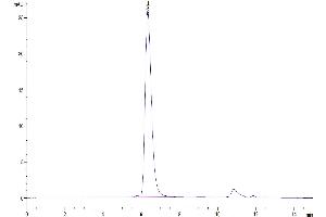 The purity of Human CD45/PTPRC is greater than 95 % as determined by SEC-HPLC. (CD45 Protein (AA 26-577) (His tag))