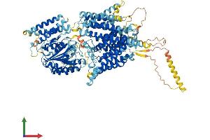 Protein Structure (PS) image for Phosphatidylinositol Glycan Anchor Biosynthesis, Class O (PIGO) (AA 1-1089) protein (His tag) (ABIN7554966)