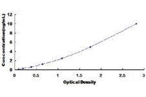 ELISA image for Intercellular Adhesion Molecule 2 (ICAM2) ELISA Kit (ABIN424236)