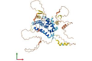 Protein Structure (PS) image for Nuclear Receptor Subfamily 0, Group B, Member 1 (NR0B1) (AA 1-470) protein (His tag) (ABIN7549871)