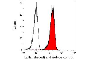 Flow Cytometry (FACS) image for anti-Enhancer of Zeste Homolog 2 (EZH2) (AA 1-154) antibody (ABIN7795766) (Rekombinanter EZH2 Antikörper  (AA 1-154))