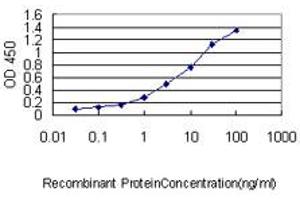 Detection limit for recombinant GST tagged DNAJC7 is approximately 0. (DNAJC7 Antikörper  (AA 1-484))