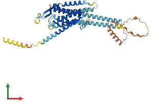 Protein Structure (PS) image for Neuropeptide Y Receptor Y5 (NPY5R) (AA 1-445) protein (His tag) (ABIN7549956)