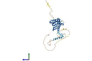 Protein Structure (PS) image for LIM Domain Binding 2 (LDB2) (AA 1-373) protein (His tag) (ABIN7562496)