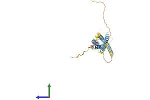 Protein Structure (PS) image for Membrane-Spanning 4-Domains, Subfamily A, Member 1 (MS4A1) (AA 1-291) protein (His tag) (ABIN7562940)