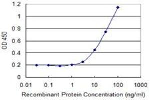 Detection limit for recombinant GST tagged COLEC10 is 1 ng/ml as a capture antibody. (COLEC10 Antikörper  (AA 121-229))