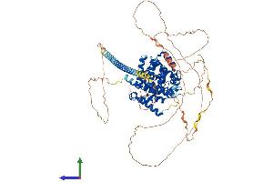 AlphaFold protein structure predicition of Mouse Recombinant Tbc1d10b Protein, UniprotID Q8BHL3