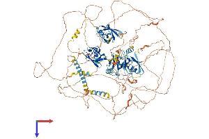 PARD3B Protein (AA 1-1203) (His tag)