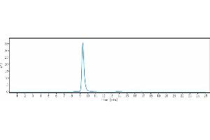 The purity of Anti-IL-13Ra1 / CD213a1 Reference Antibody (MK-6105) is 100 % , determined by SEC-HPLC. (Rekombinanter IL13 Receptor alpha 1 Antikörper)